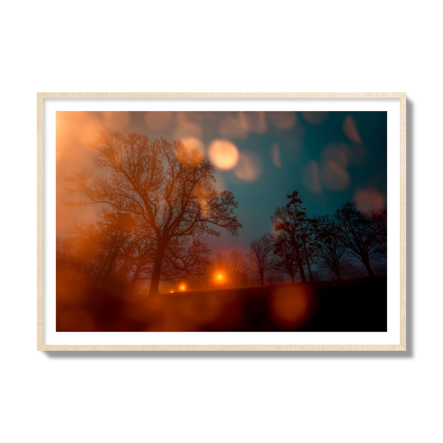 Fine art landscape photograph of a tranquil forest illuminated by orange-red streetlights. Archival pigment print, collector size, natural wood frame.