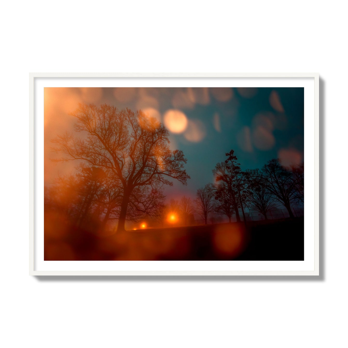 Fine art landscape photograph of a tranquil forest illuminated by orange-red streetlights. Archival pigment print, collector size, white frame.