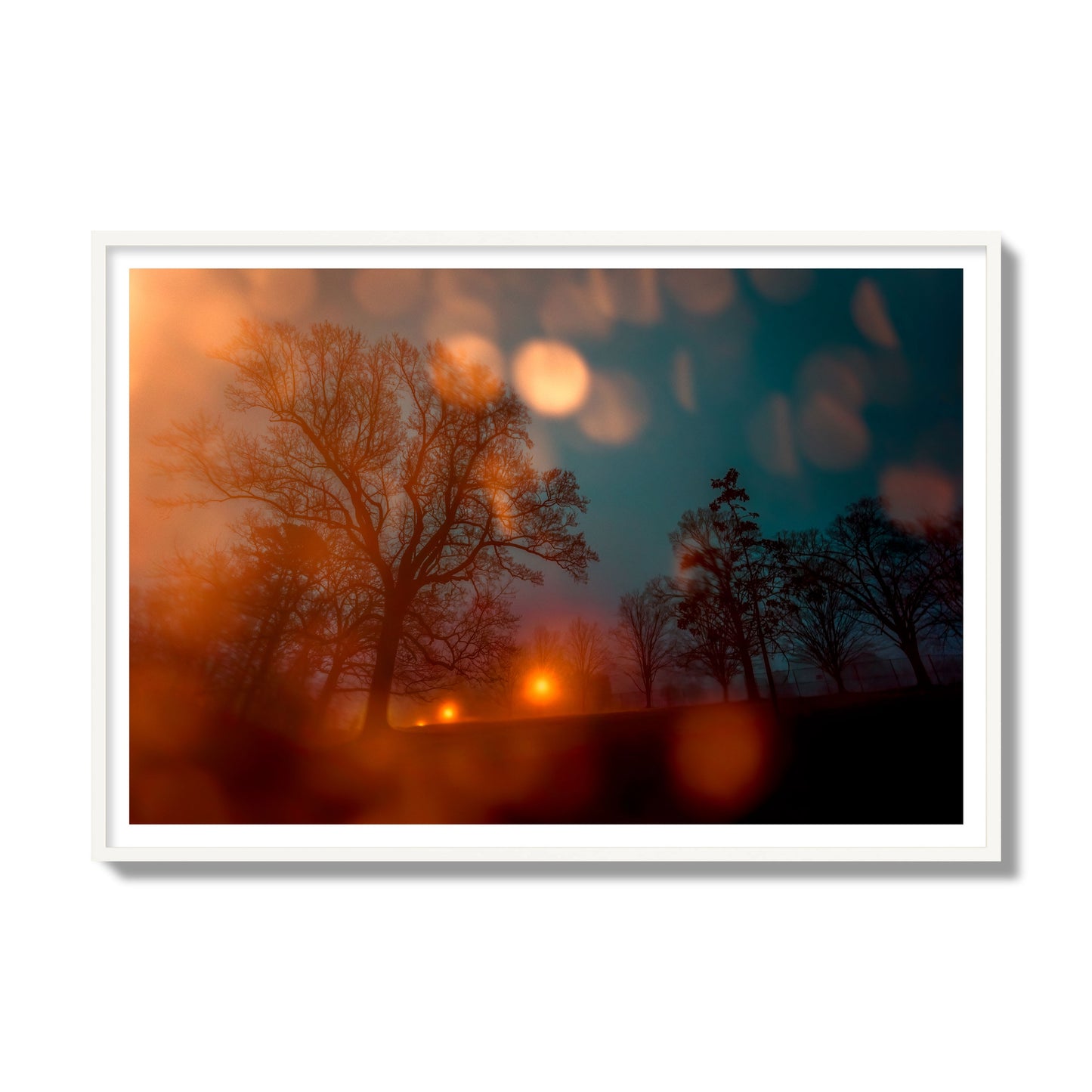 Fine art landscape photograph of a tranquil forest illuminated by orange-red streetlights. Archival pigment print, gallery size, white frame.