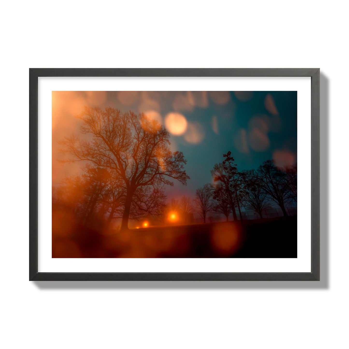 Fine art landscape photograph of a tranquil forest illuminated by orange-red streetlights. Archival pigment print, giant size, black frame.