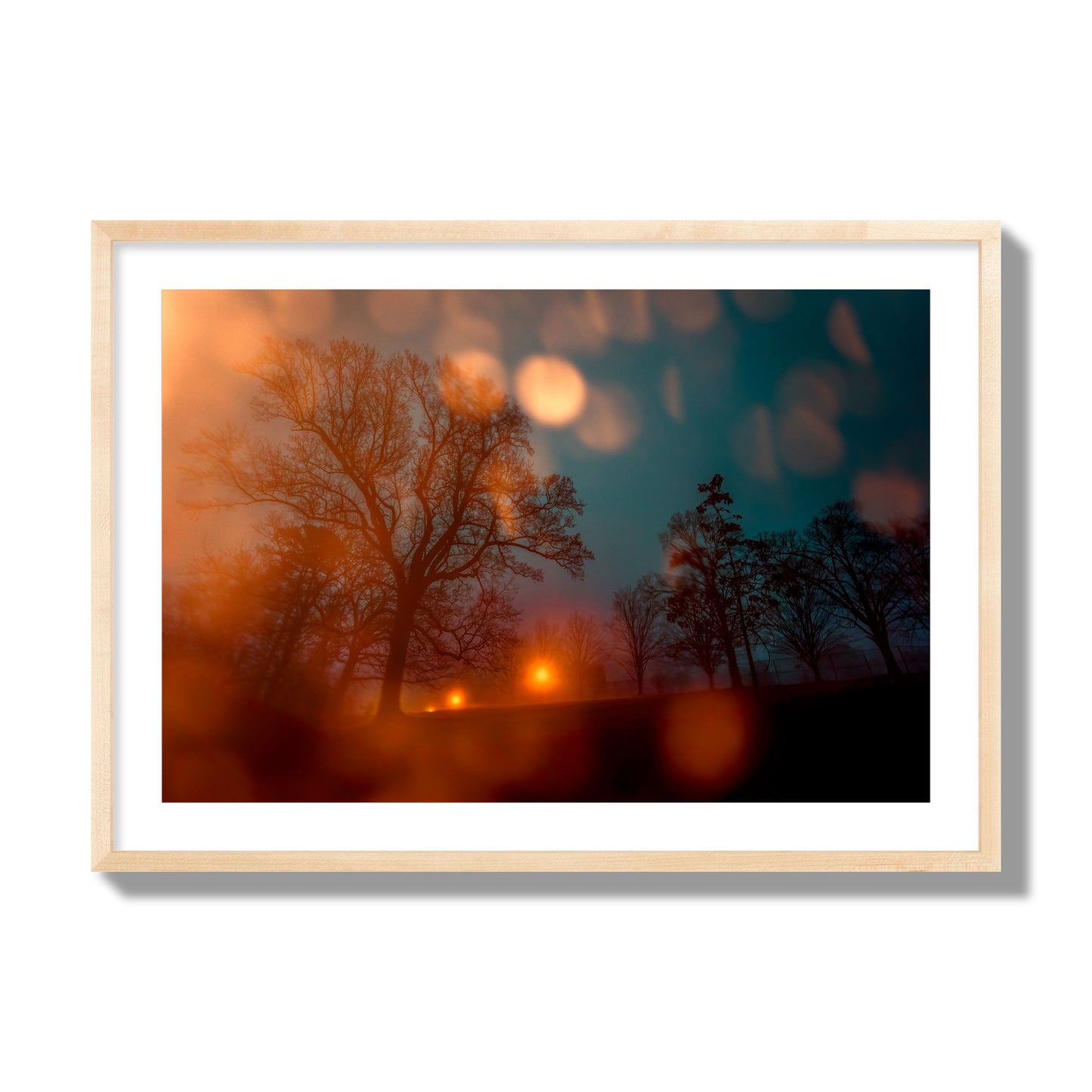 Fine art landscape photograph of a tranquil forest illuminated by orange-red streetlights. Archival pigment print, giant size, natural wood frame.