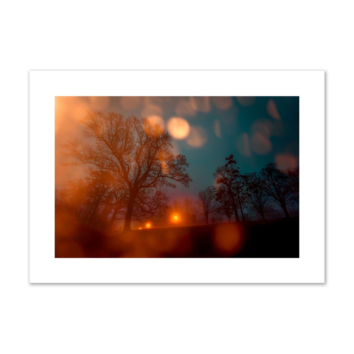 Fine art landscape photograph of a tranquil forest illuminated by orange-red streetlights. Archival pigment print, giant size, unframed.
