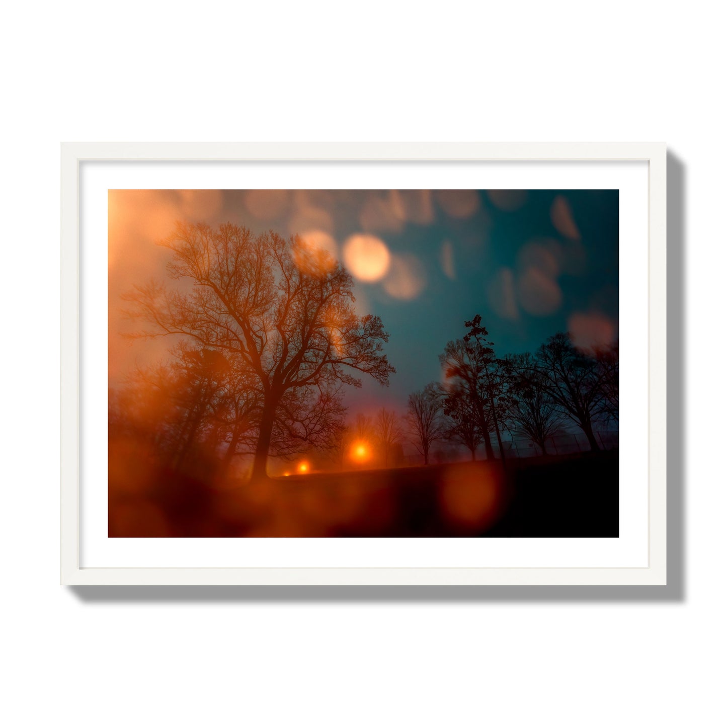 Fine art landscape photograph of a tranquil forest illuminated by orange-red streetlights. Archival pigment print, giant size, white frame.