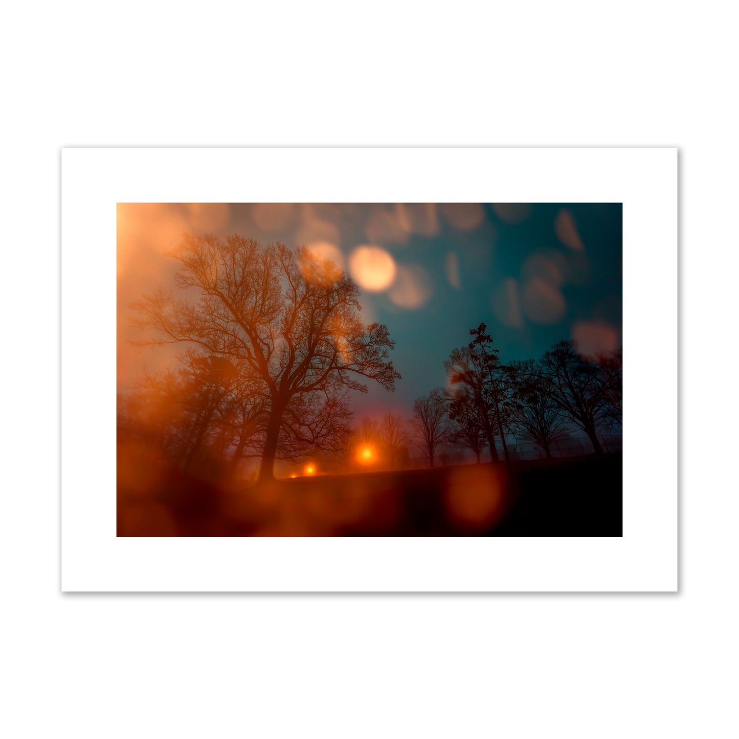 Fine art landscape photograph of a tranquil forest illuminated by orange-red streetlights. Archival pigment print, large size, unframed.