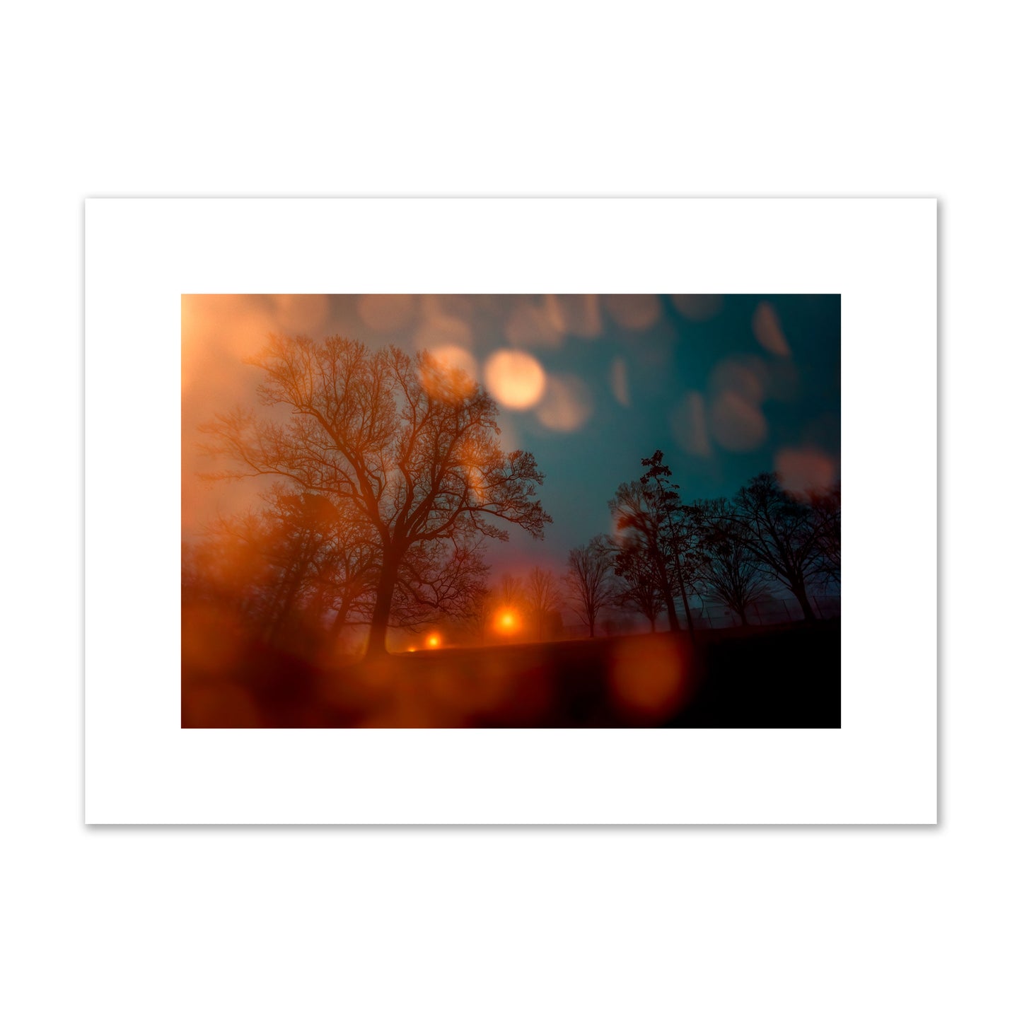 Fine art landscape photograph of a tranquil forest illuminated by orange-red streetlights. Archival pigment print, medium size, unframed.