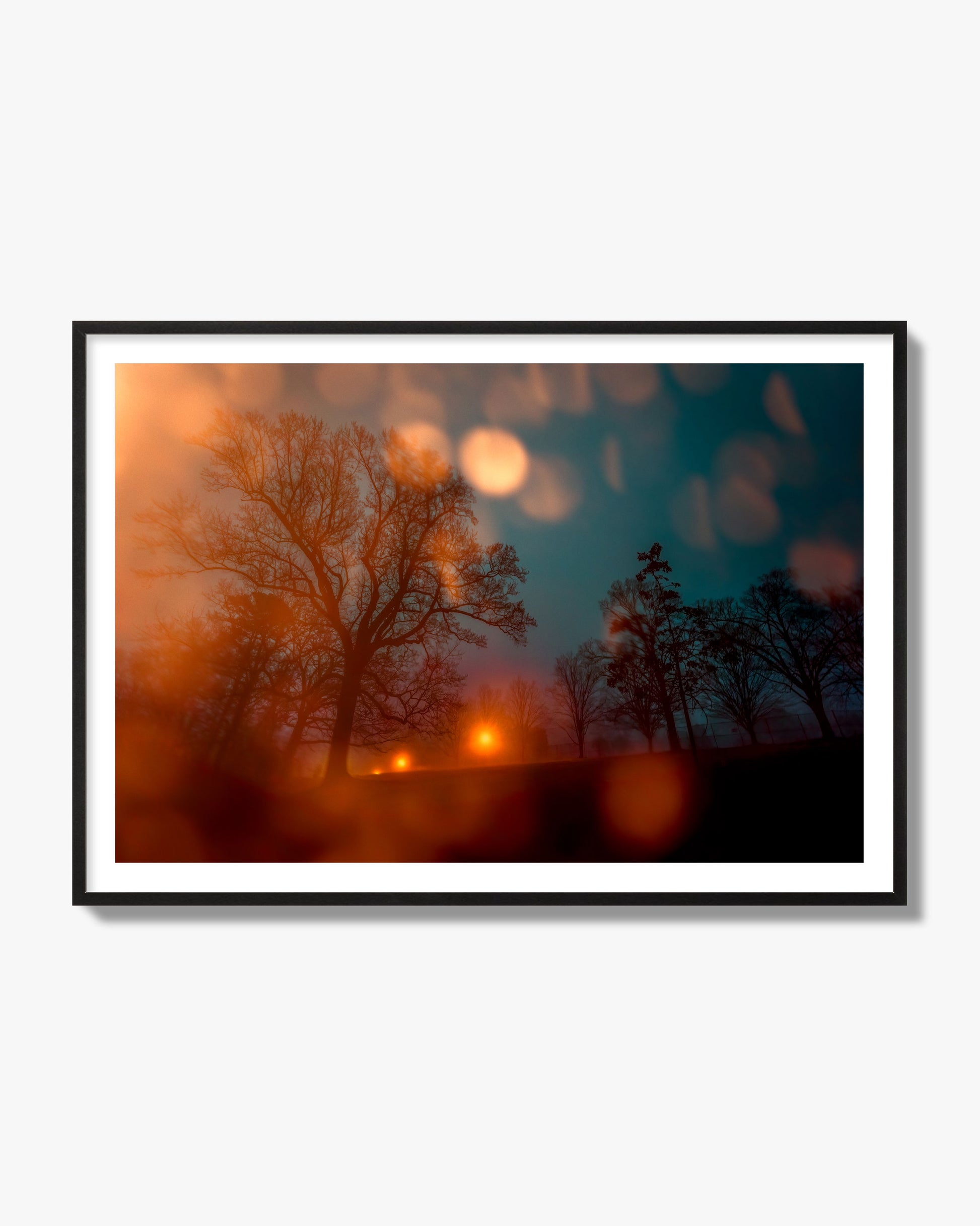 Fine art landscape photograph of a tranquil forest illuminated by orange-red streetlights. Archival pigment print, black frame.