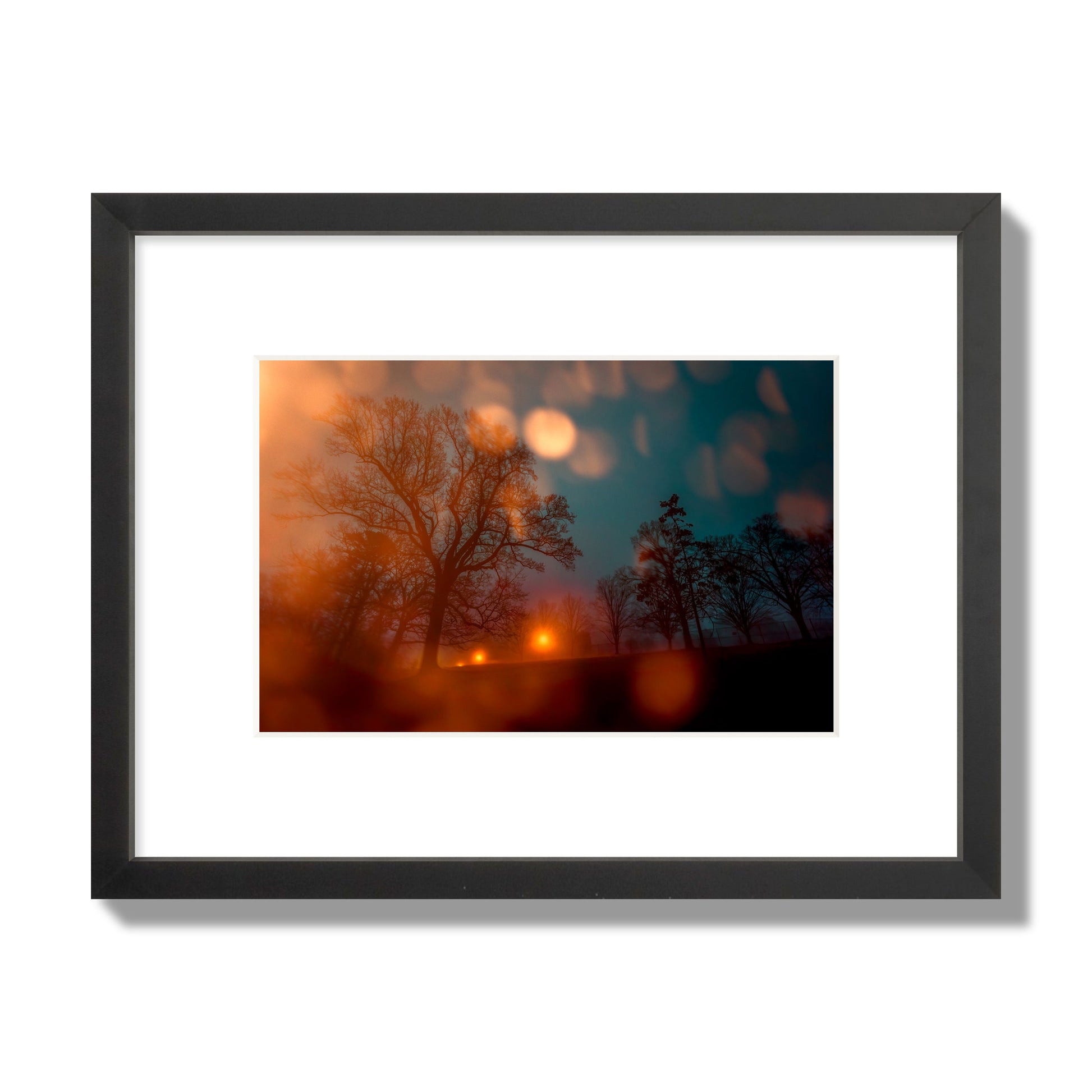 Fine art landscape photograph of a tranquil forest illuminated by orange-red streetlights. Archival pigment print, small size, black frame.