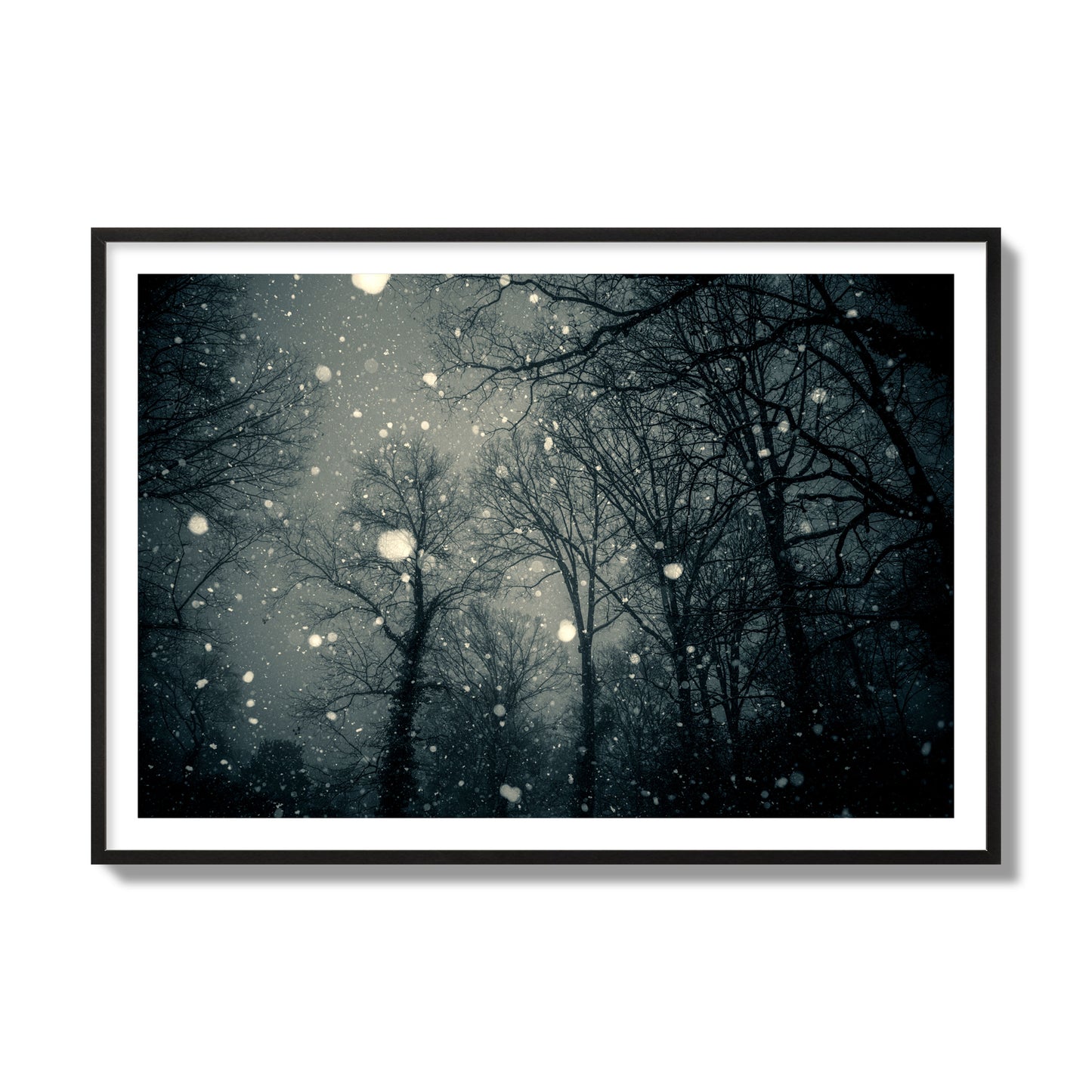 Fine art landscape photograph of a tranquil forest blanketed in falling snow. Archival pigment print, collector size, black frame.