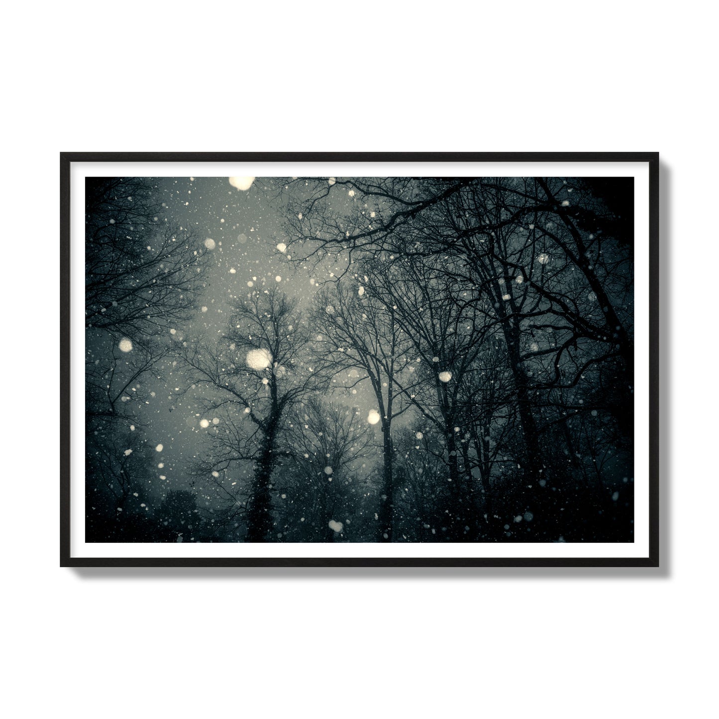 Fine art landscape photograph of a tranquil forest blanketed in falling snow. Archival pigment print, gallery size, black frame.