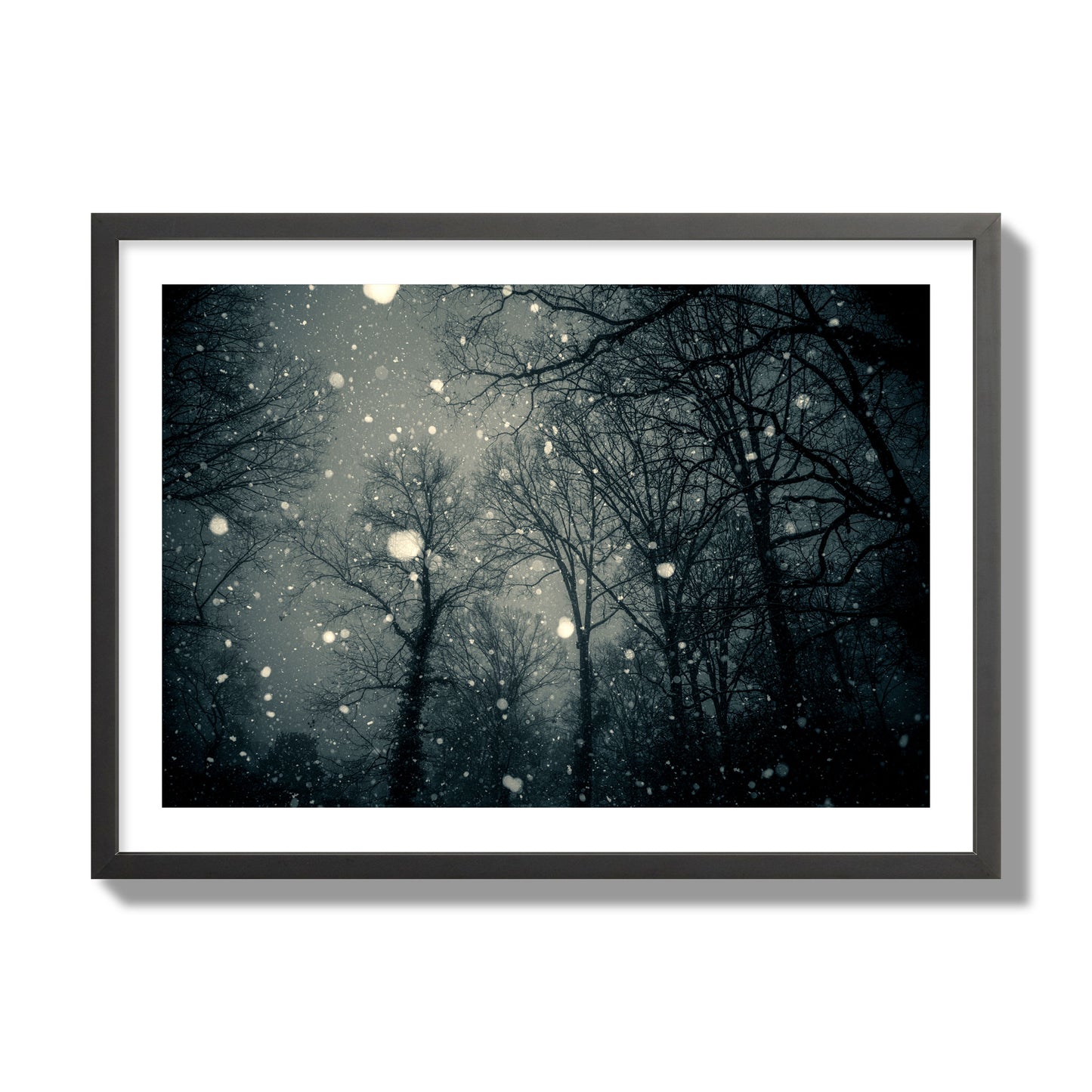 Fine art landscape photograph of a tranquil forest blanketed in falling snow. Archival pigment print, giant size, black frame.