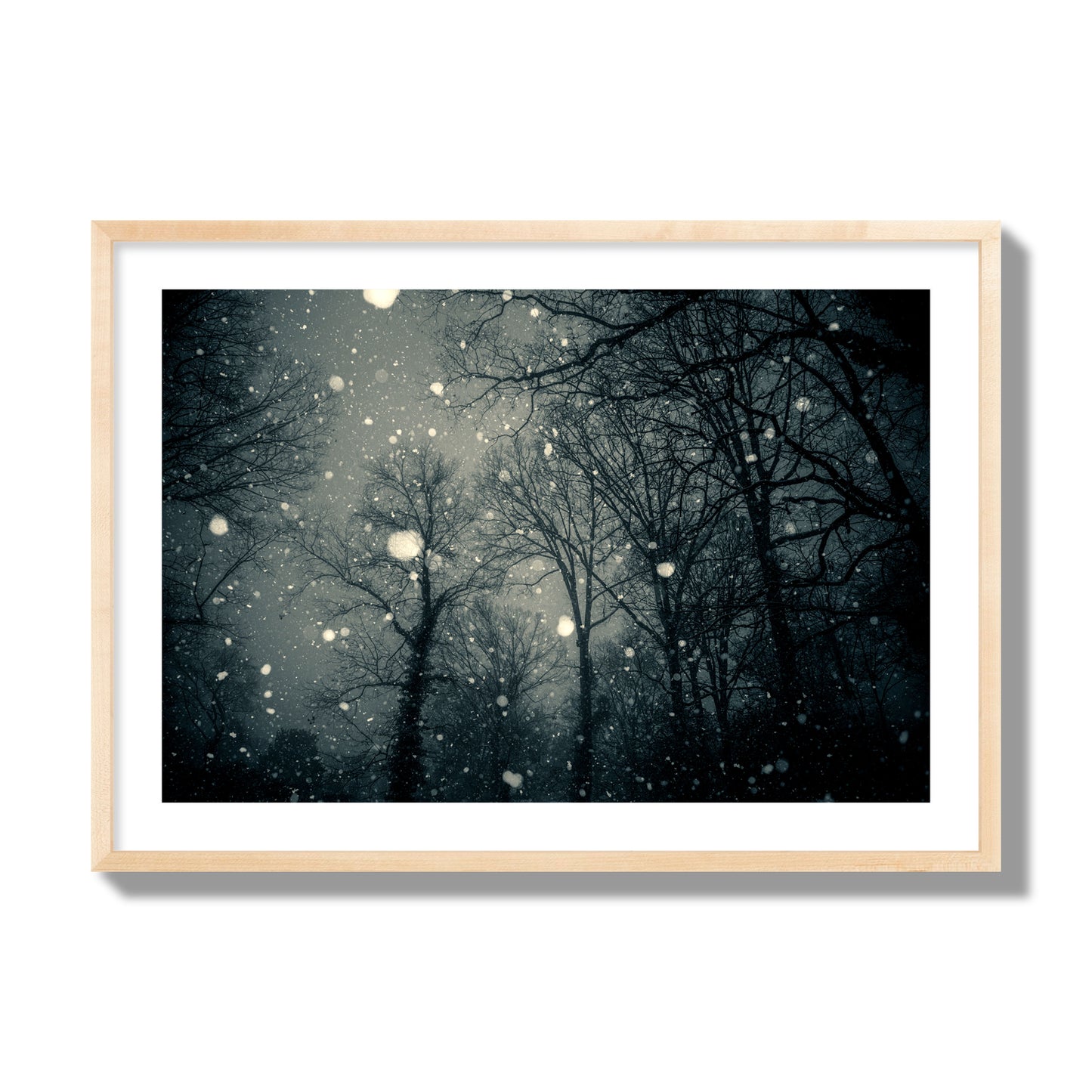 Fine art landscape photograph of a tranquil forest blanketed in falling snow. Archival pigment print, giant size, natural wood frame.