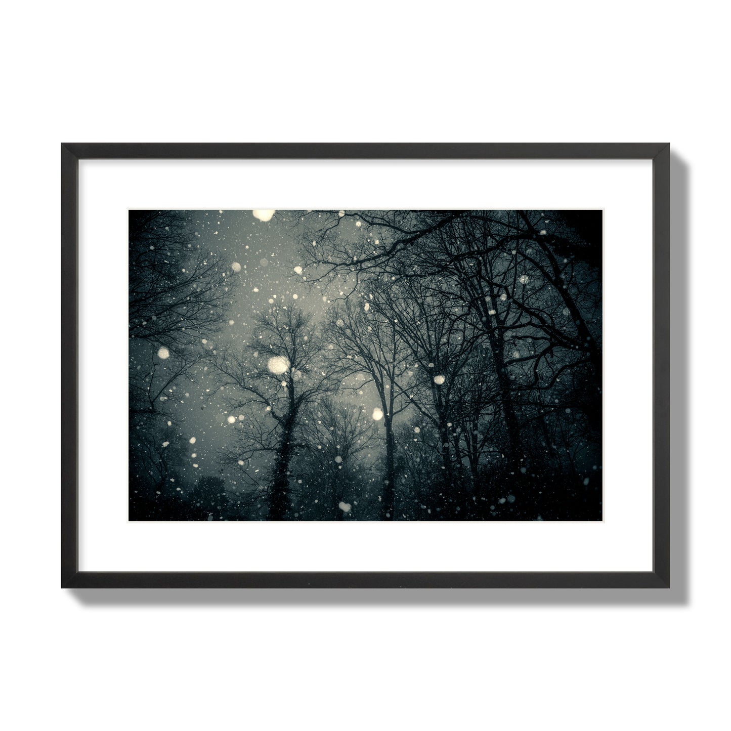 Fine art landscape photograph of a tranquil forest blanketed in falling snow. Archival pigment print, large size, black frame.