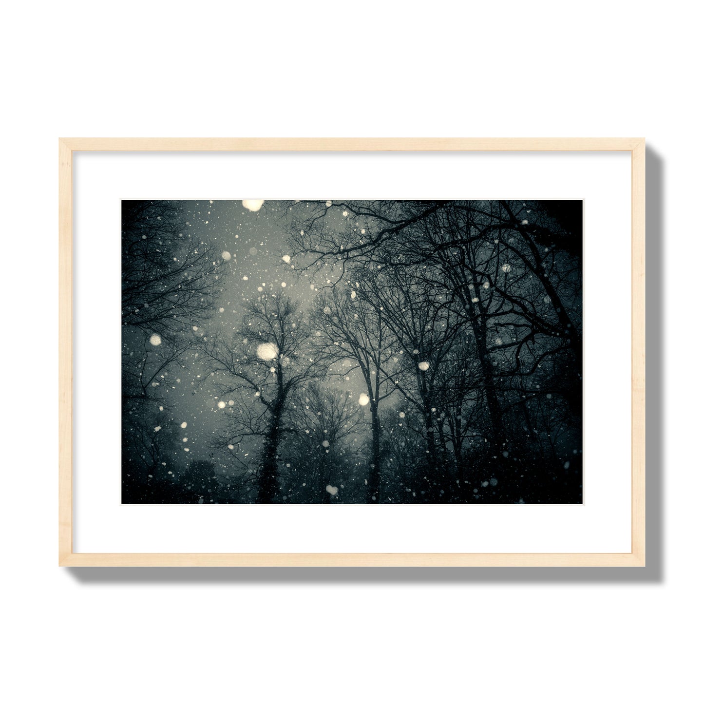 Fine art landscape photograph of a tranquil forest blanketed in falling snow. Archival pigment print, large size, natural wood frame.