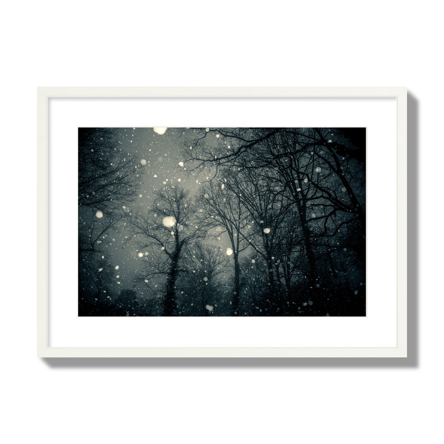 Fine art landscape photograph of a tranquil forest blanketed in falling snow. Archival pigment print, large size, white frame.