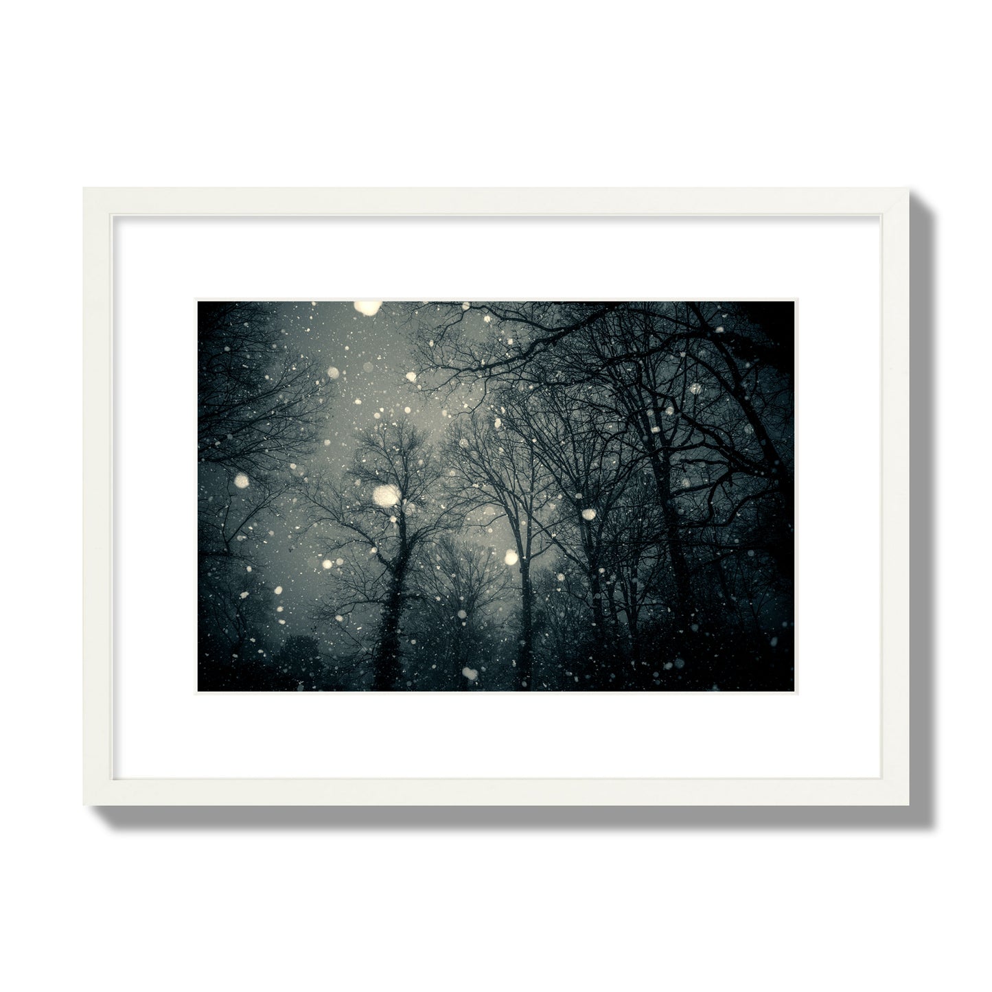 Fine art landscape photograph of a tranquil forest blanketed in falling snow. Archival pigment print, medium size, white frame.