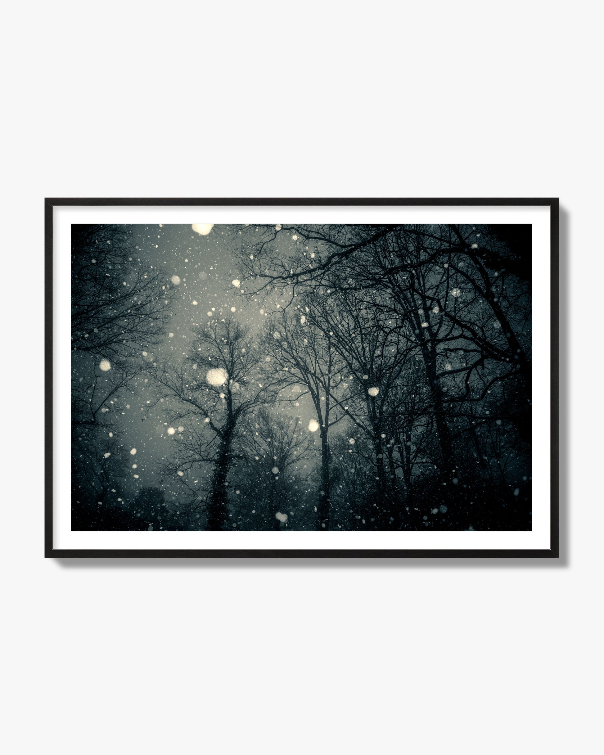 Fine art landscape photograph of a tranquil forest blanketed in falling snow. Archival pigment print, black frame.