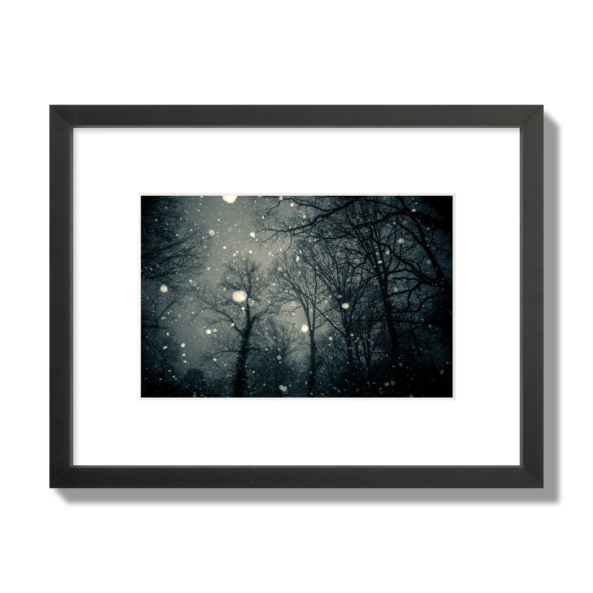 Fine art landscape photograph of a tranquil forest blanketed in falling snow. Archival pigment print, small size, black frame.