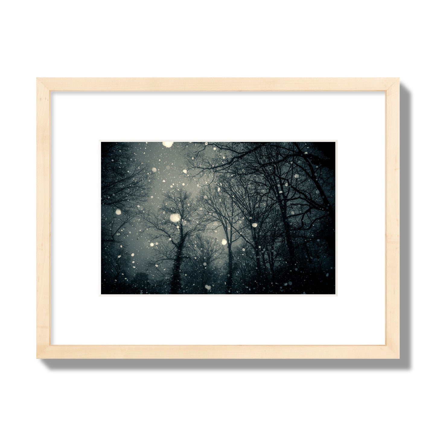 Fine art landscape photograph of a tranquil forest blanketed in falling snow. Archival pigment print, small size, natural wood frame.