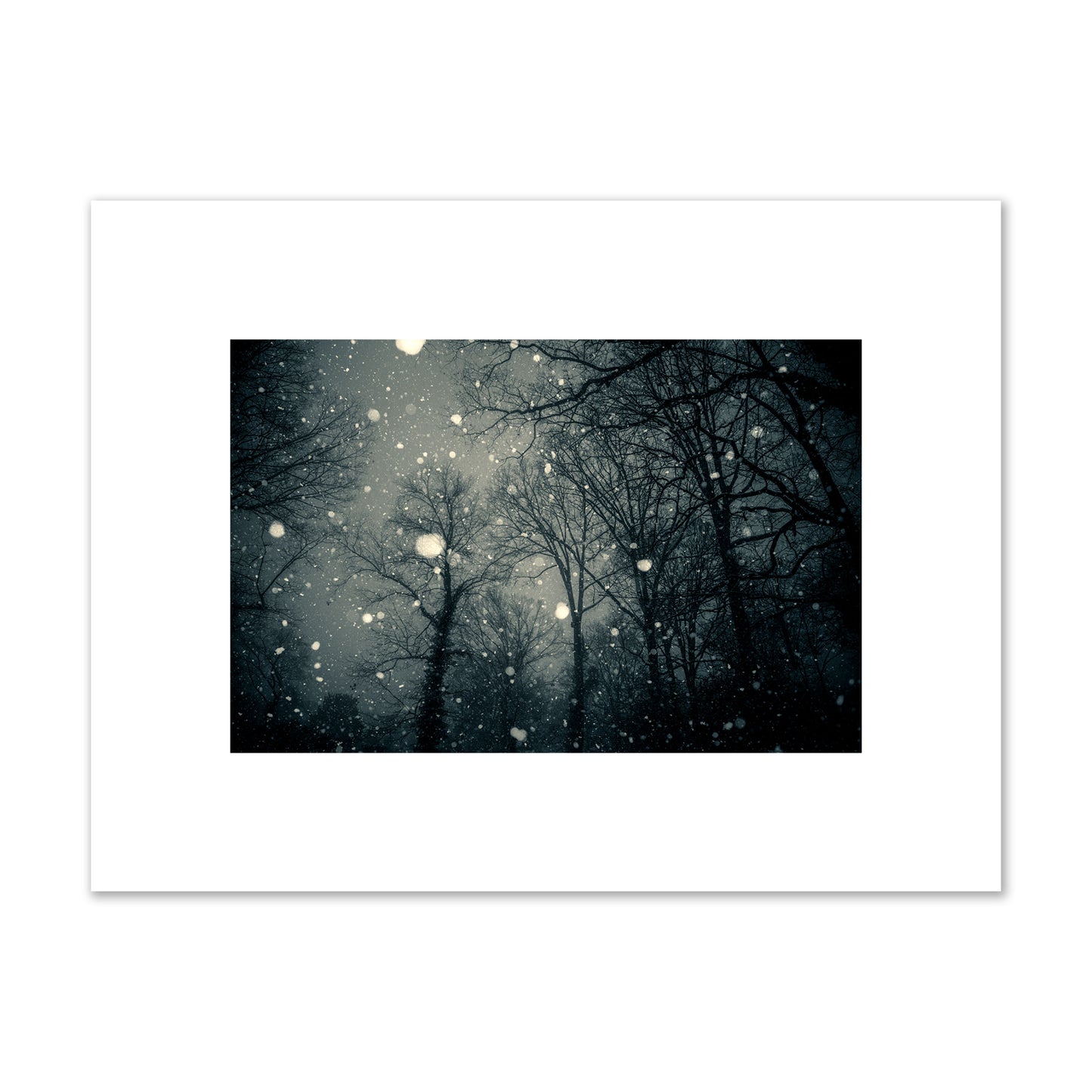 Fine art landscape photograph of a tranquil forest blanketed in falling snow. Archival pigment print, small size, unframed.