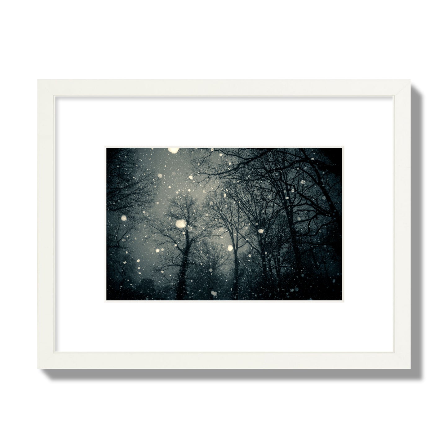 Fine art landscape photograph of a tranquil forest blanketed in falling snow. Archival pigment print, small size, white frame.
