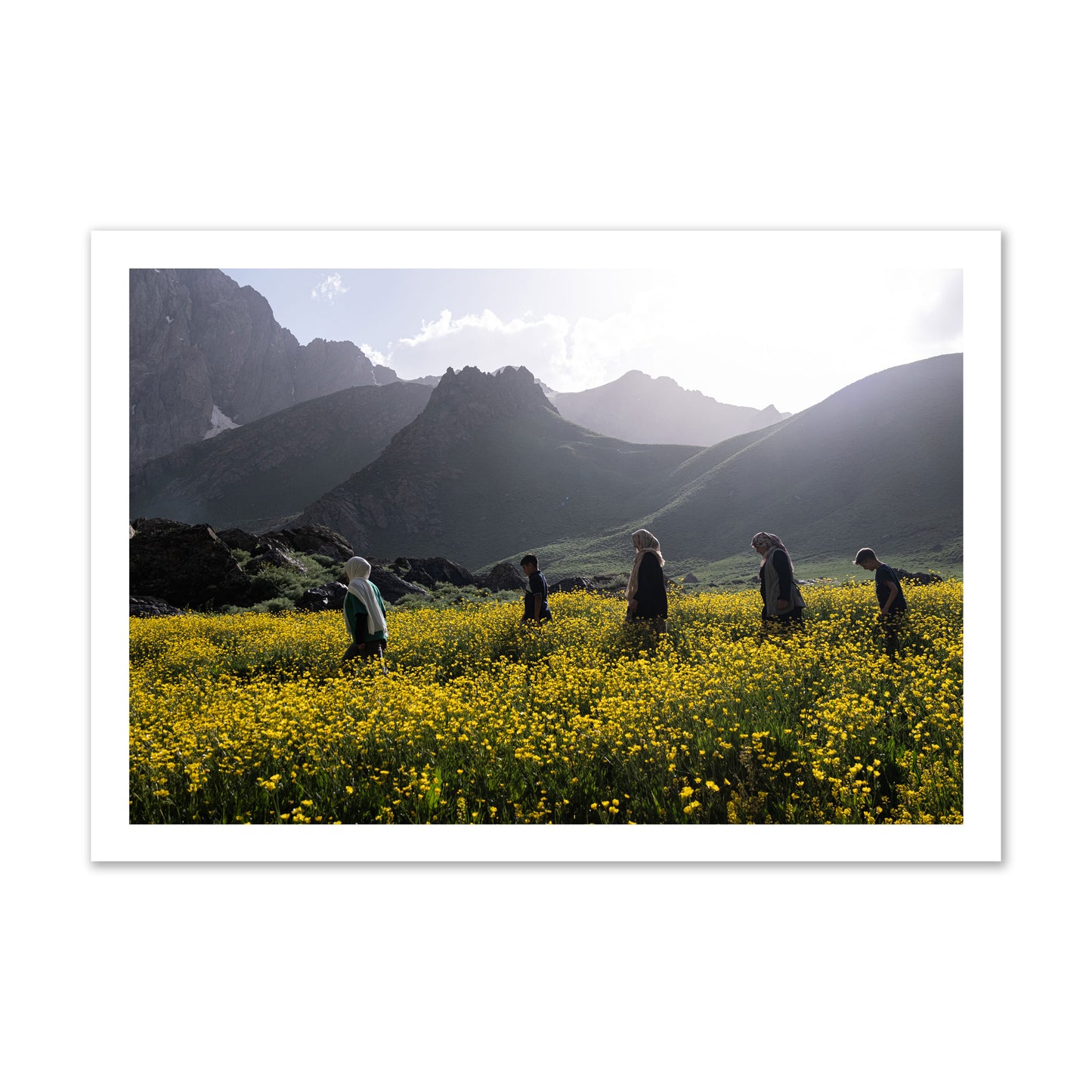 Fine art photograph of people walking through a field of yellow flowers with mountains in the background, archival pigment print, gallery size, unframed.