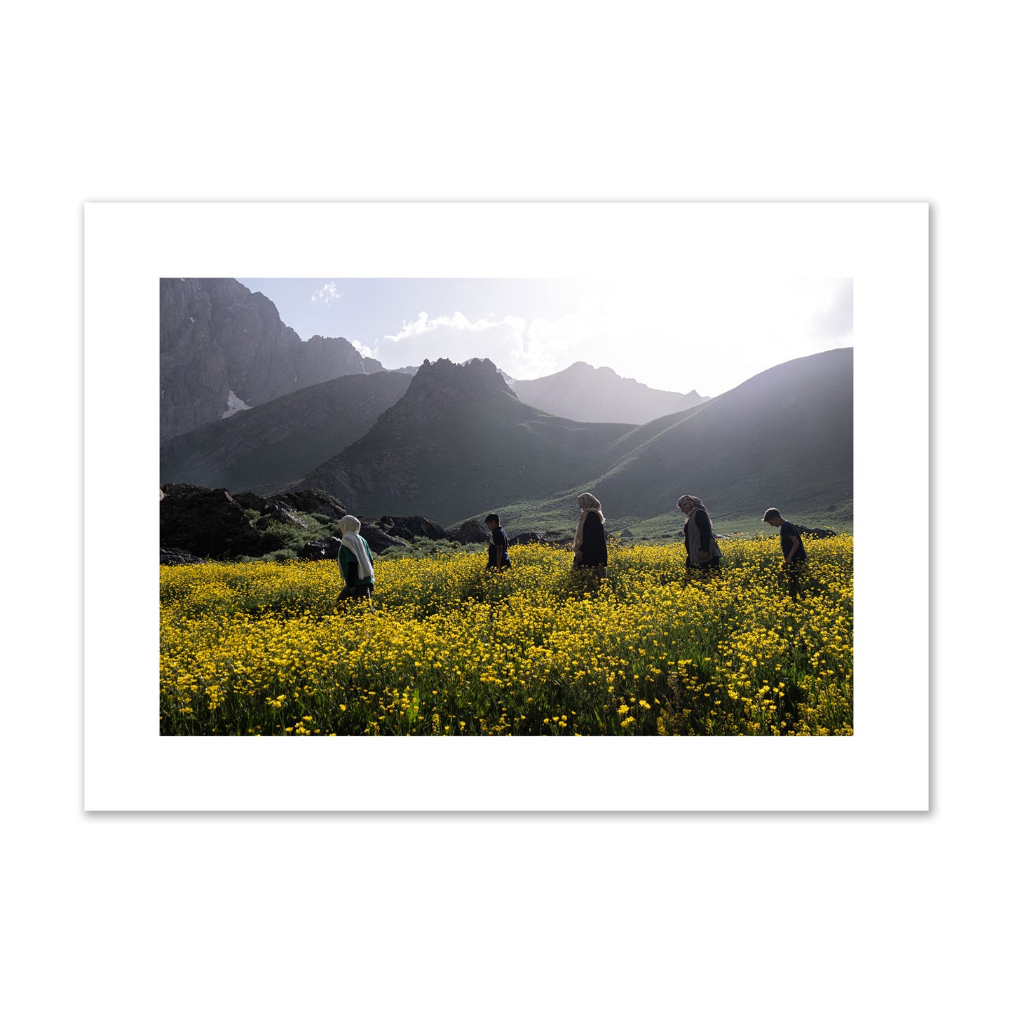 Fine art photograph of people walking through a field of yellow flowers with mountains in the background, archival pigment print, large size, unframed.