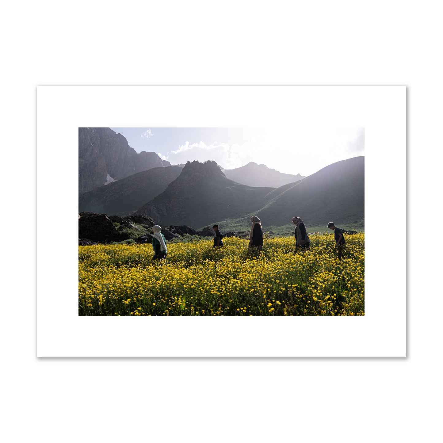 Fine art photograph of people walking through a field of yellow flowers with mountains in the background, archival pigment print, medium size, unframed.