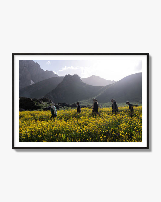 Fine art photograph of people walking through a field of yellow flowers with mountains in the background, archival pigment print, black frame.