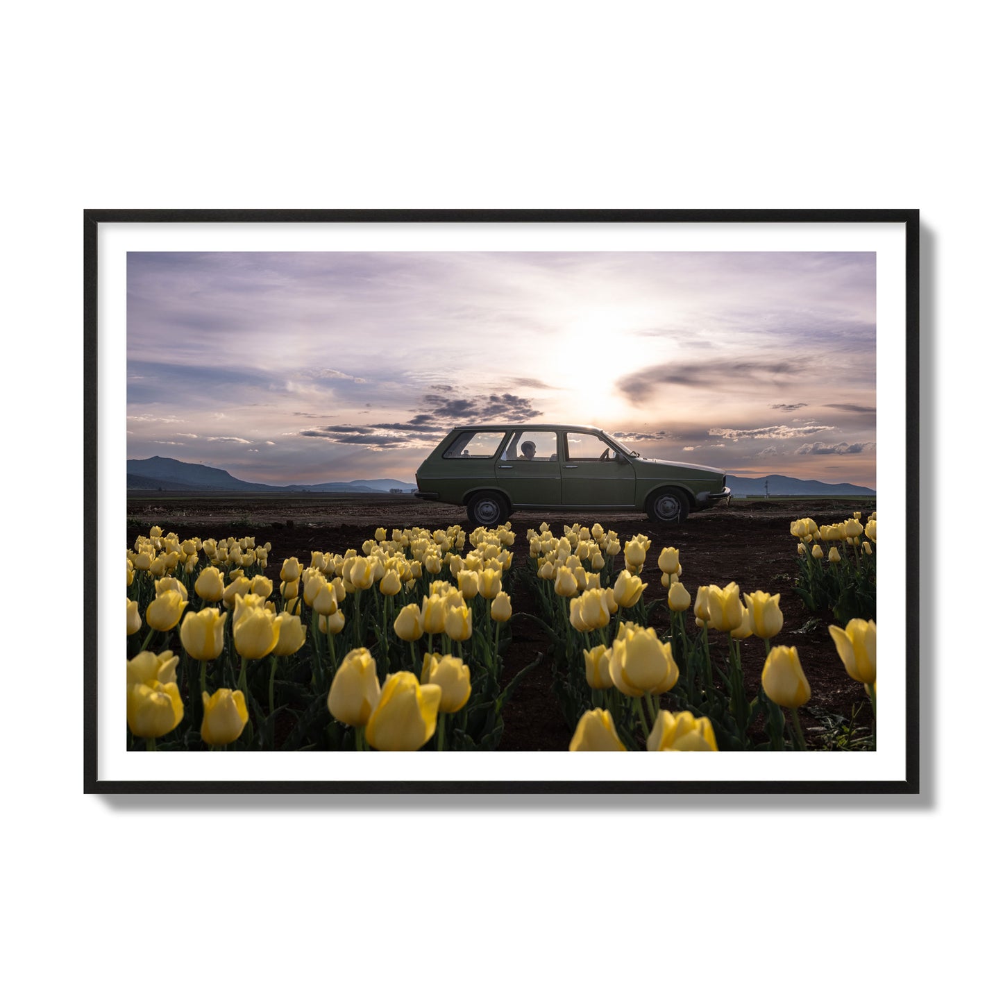 Fine art photograph of a car in a field of yellow tulips with a sunset sky, archival pigment print, collector size, black frame.