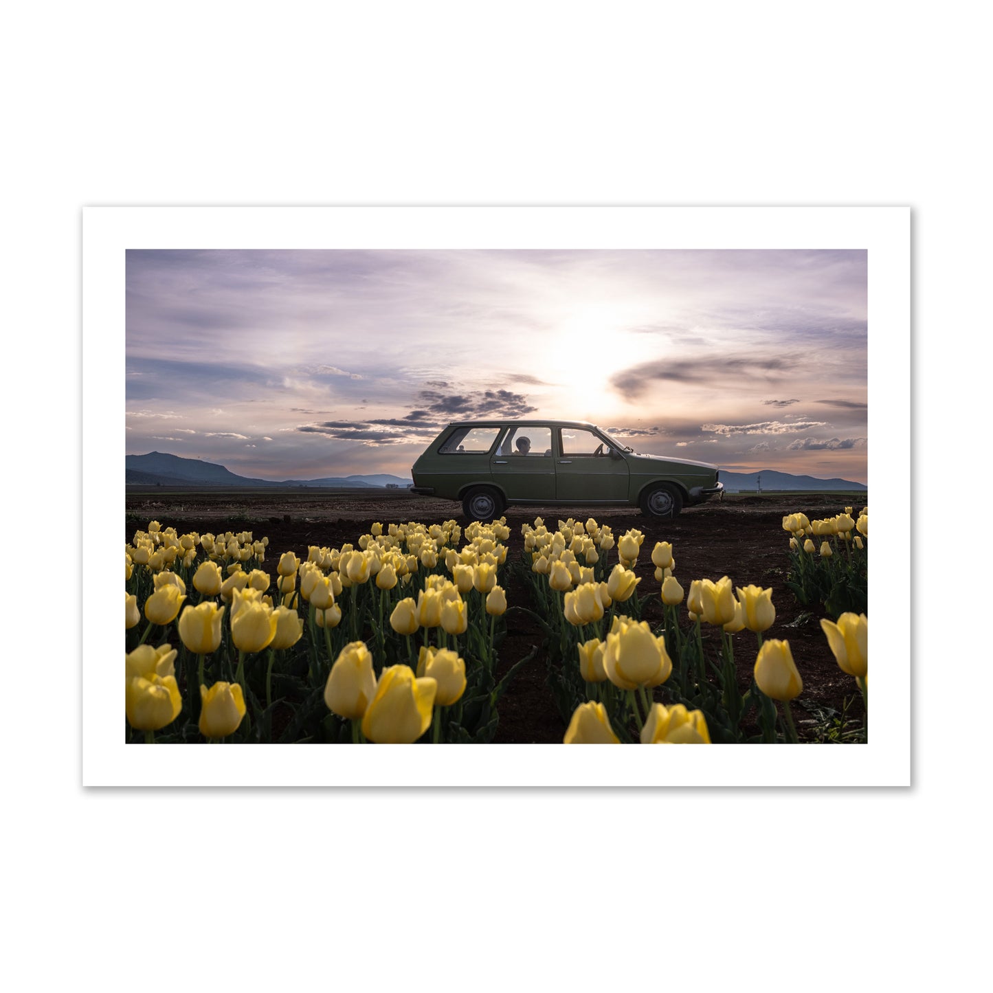 Fine art photograph of a car in a field of yellow tulips with a sunset sky, archival pigment print, collector size, unframed.