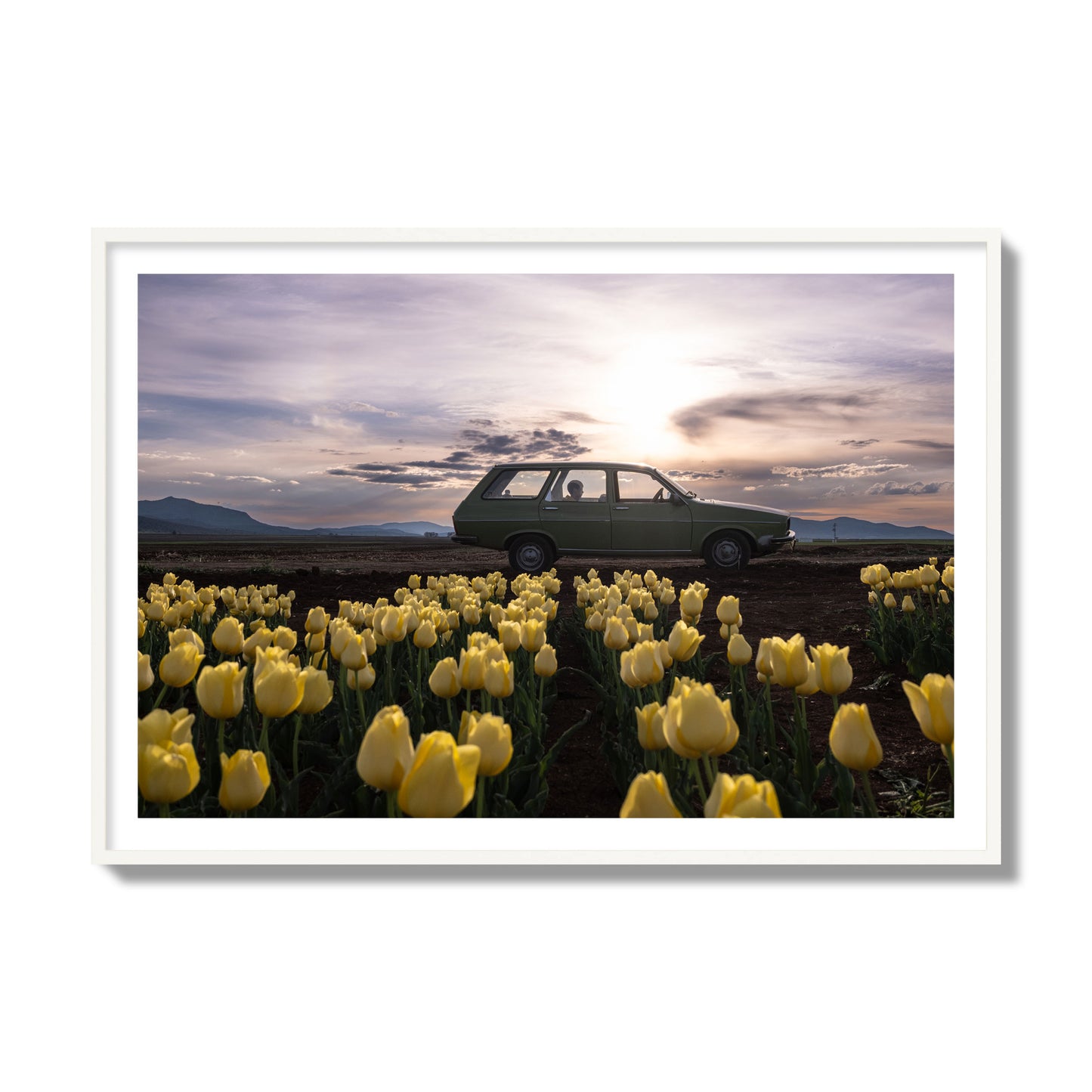 Fine art photograph of a car in a field of yellow tulips with a sunset sky, archival pigment print, collector size, white frame.