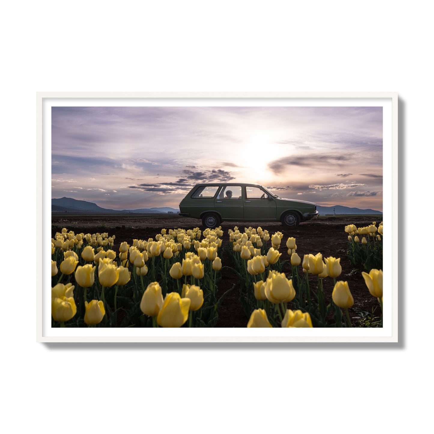 Fine art photograph of a car in a field of yellow tulips with a sunset sky, archival pigment print, gallery size, white frame.
