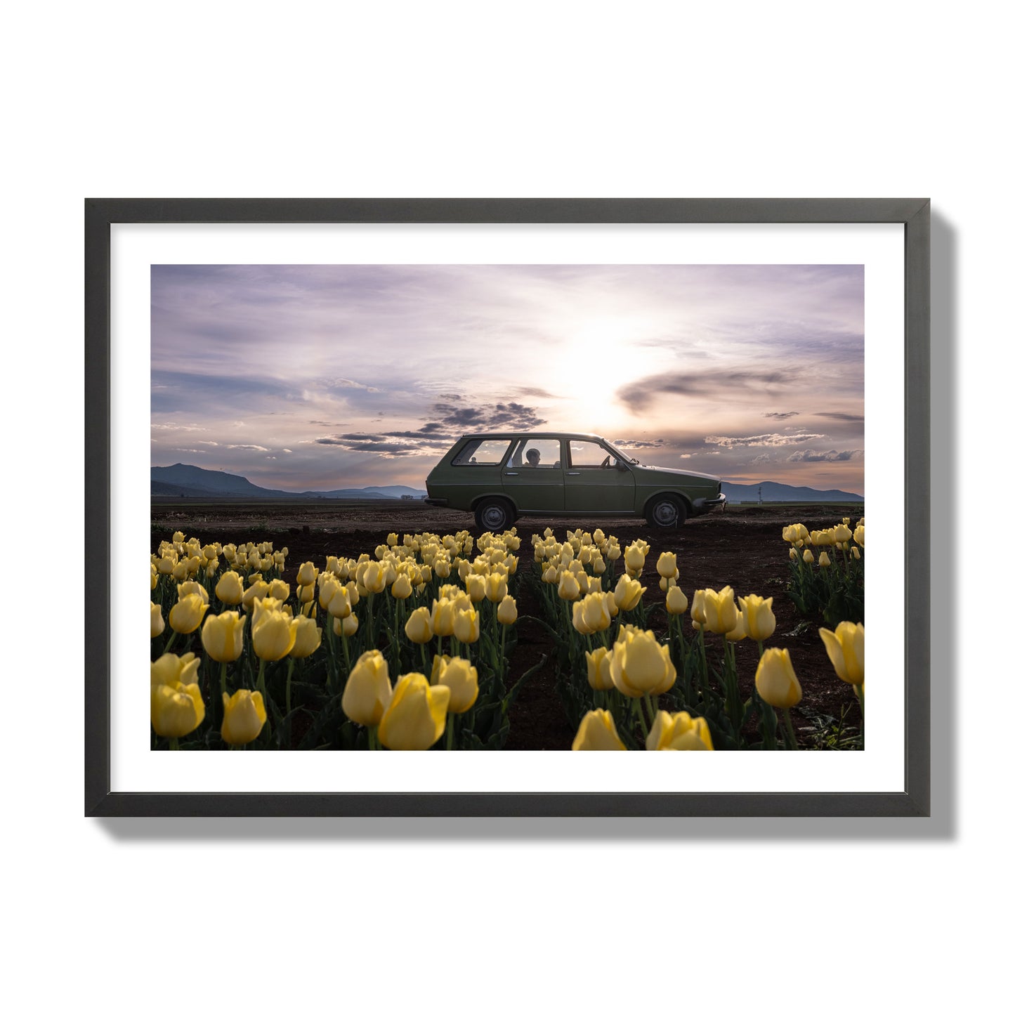 Fine art photograph of a car in a field of yellow tulips with a sunset sky, archival pigment print, giant size, black frame.