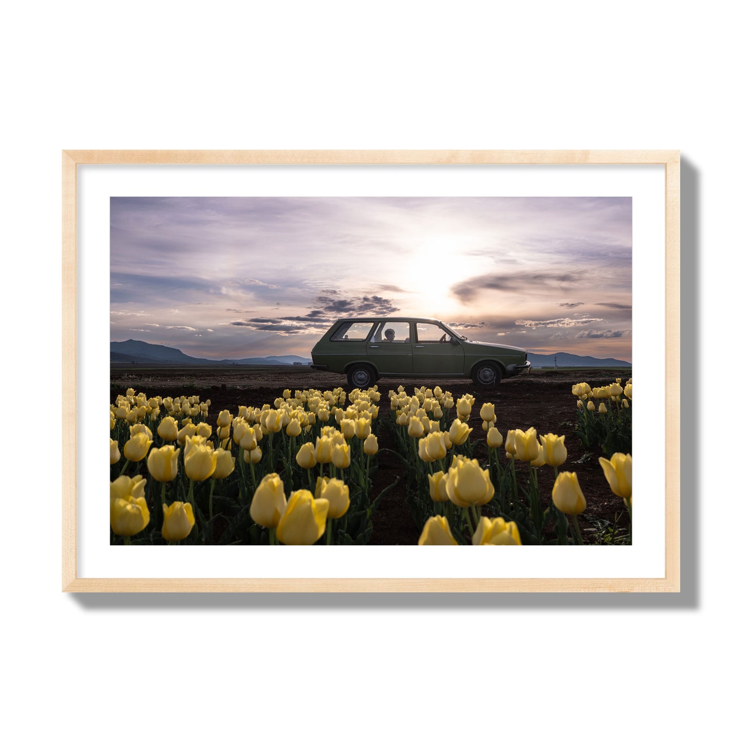 Fine art photograph of a car in a field of yellow tulips with a sunset sky, archival pigment print, giant size, natural wood frame.