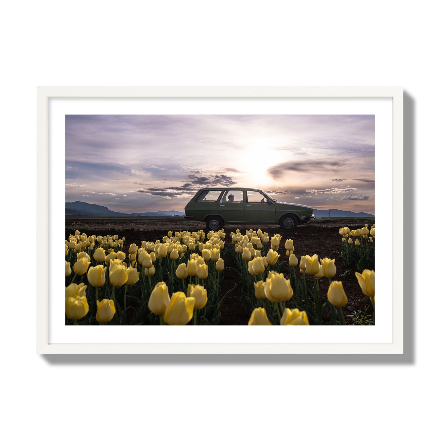 Fine art photograph of a car in a field of yellow tulips with a sunset sky, archival pigment print, giant size, white frame.