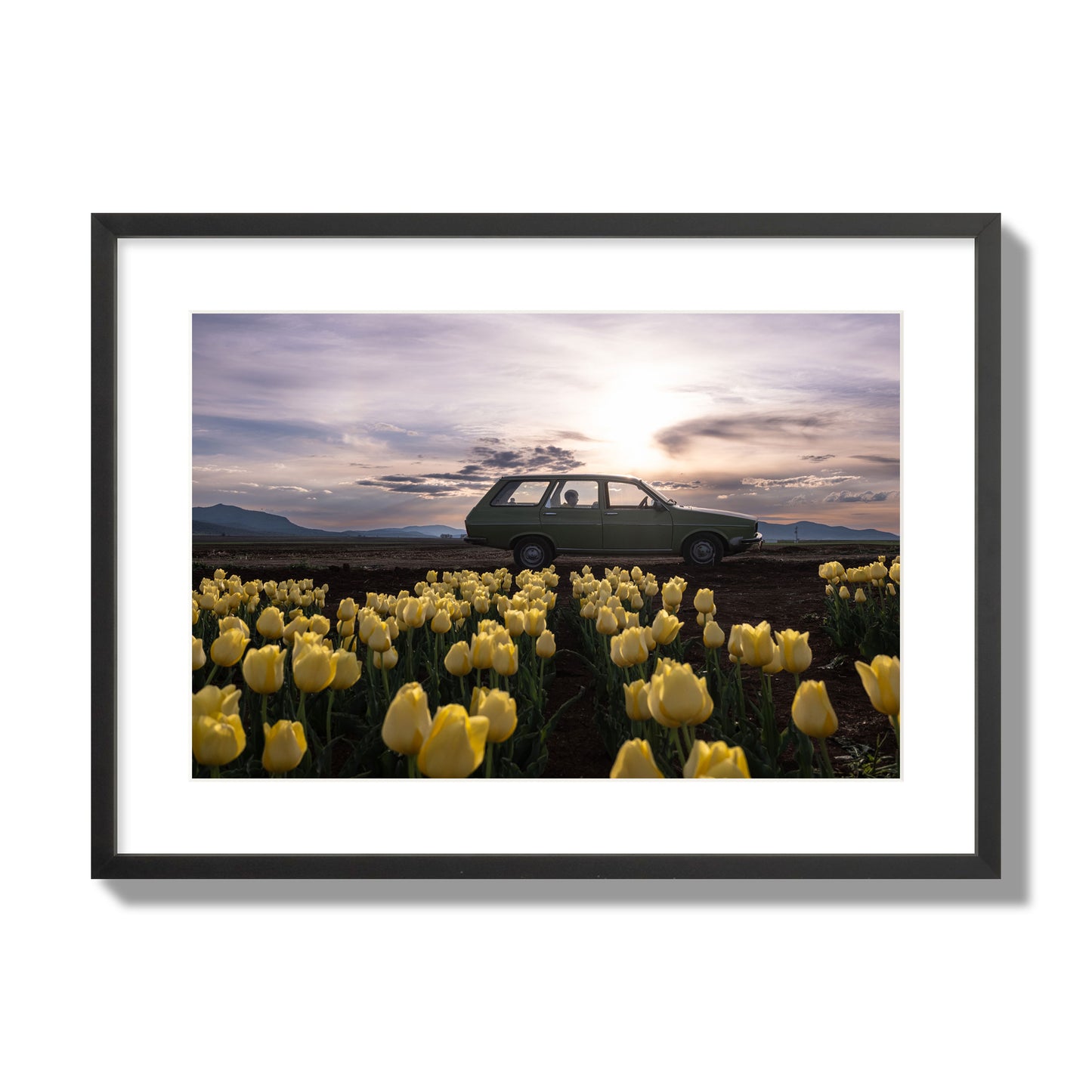 Fine art photograph of a car in a field of yellow tulips with a sunset sky, archival pigment print, large size, black frame.