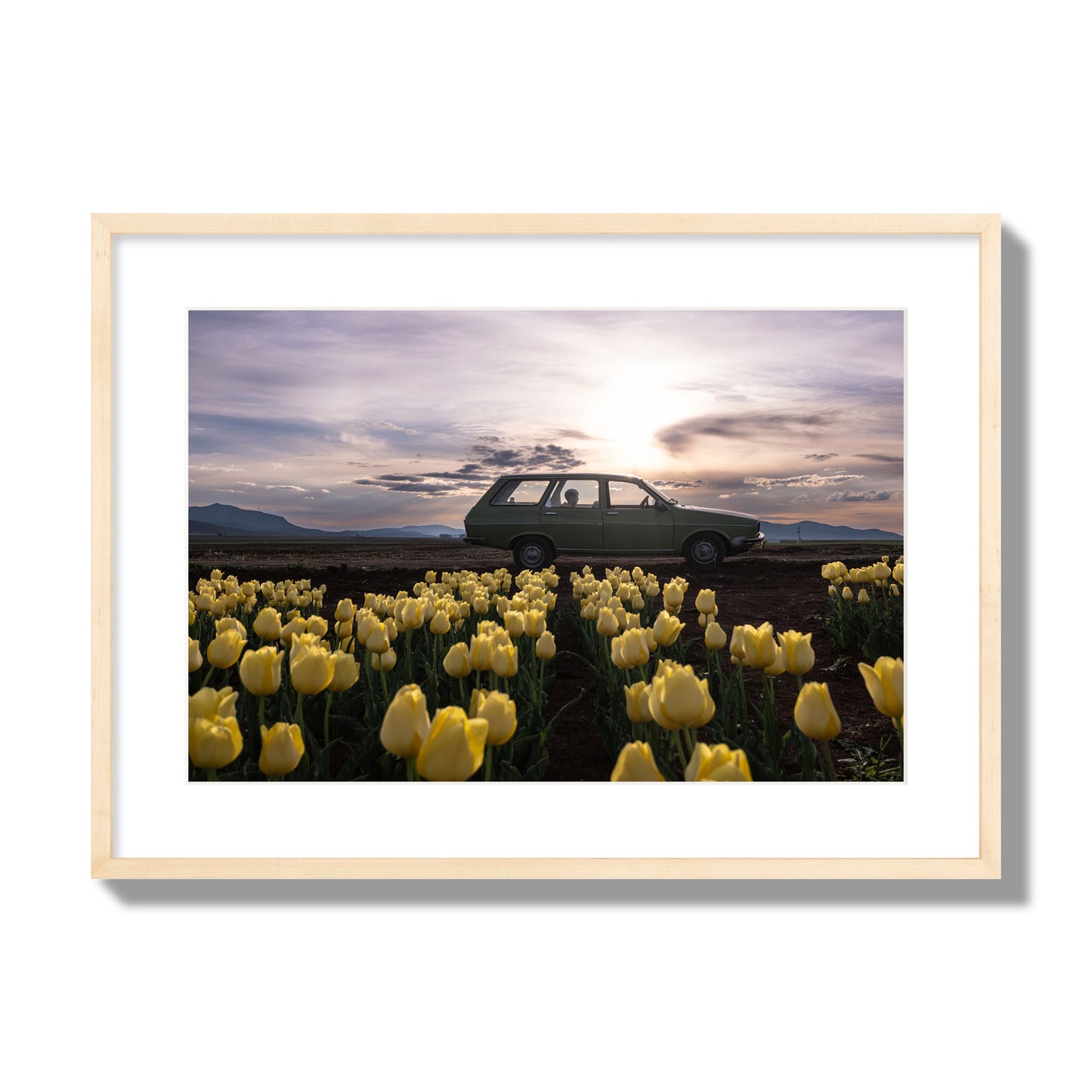 Fine art photograph of a car in a field of yellow tulips with a sunset sky, archival pigment print, large size, natural wood frame.