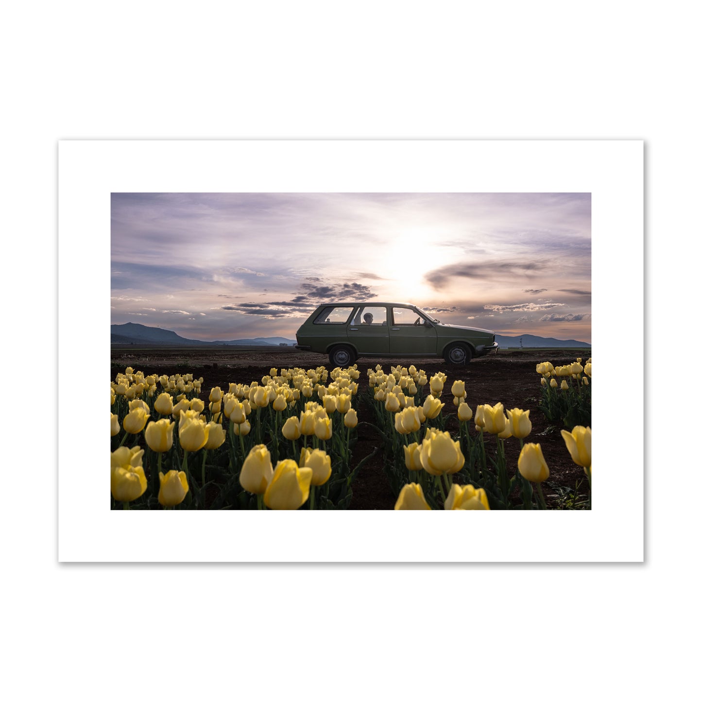 Fine art photograph of a car in a field of yellow tulips with a sunset sky, archival pigment print, large size, unframed.