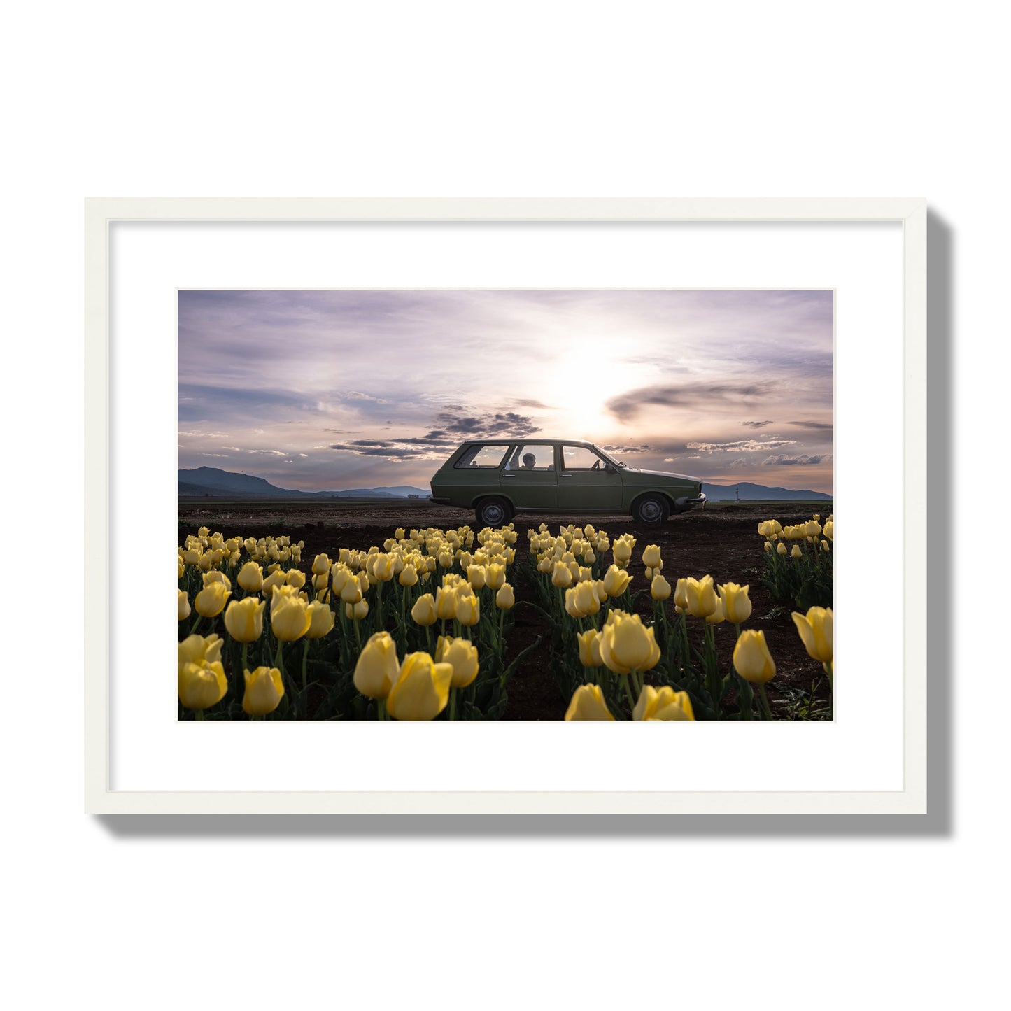 Fine art photograph of a car in a field of yellow tulips with a sunset sky, archival pigment print, large size, white frame.