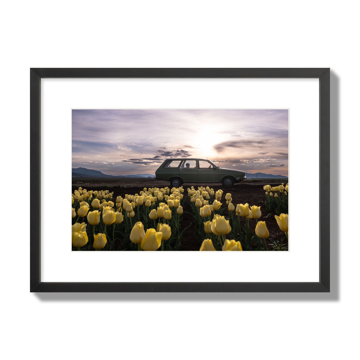 Fine art photograph of a car in a field of yellow tulips with a sunset sky, archival pigment print, medium size, black frame.