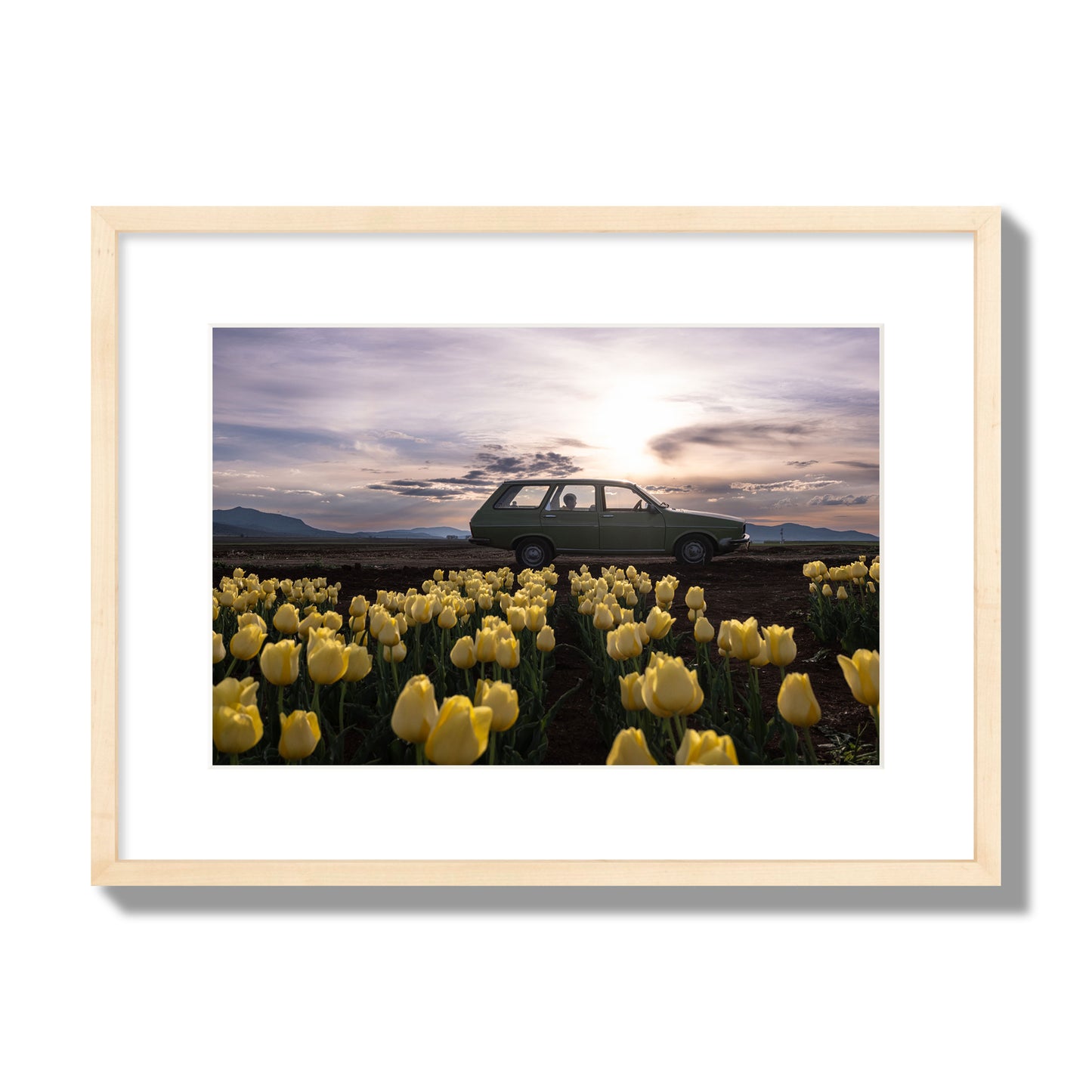 Fine art photograph of a car in a field of yellow tulips with a sunset sky, archival pigment print, medium size, natural wood frame.