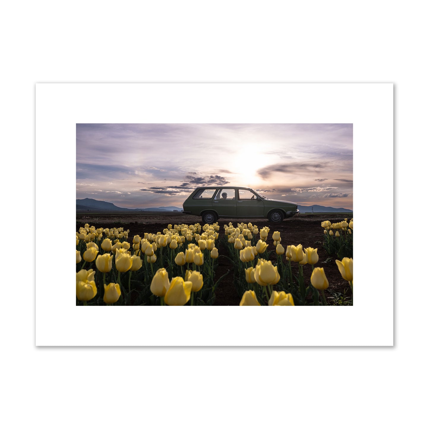 Fine art photograph of a car in a field of yellow tulips with a sunset sky, archival pigment print, medium size, unframed.