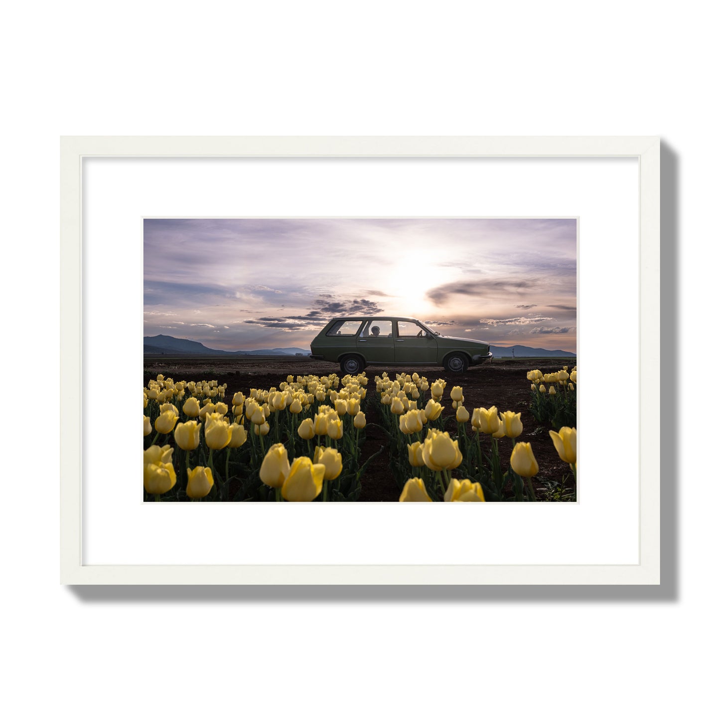 Fine art photograph of a car in a field of yellow tulips with a sunset sky, archival pigment print, medium size, white frame.