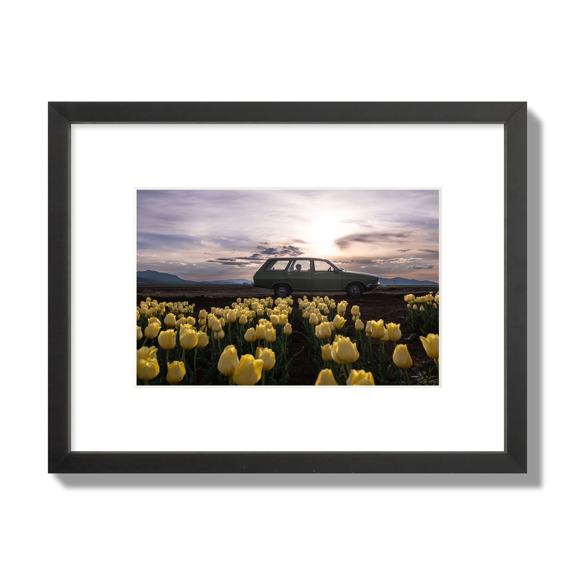 Fine art photograph of a car in a field of yellow tulips with a sunset sky, archival pigment print, small size, black frame.