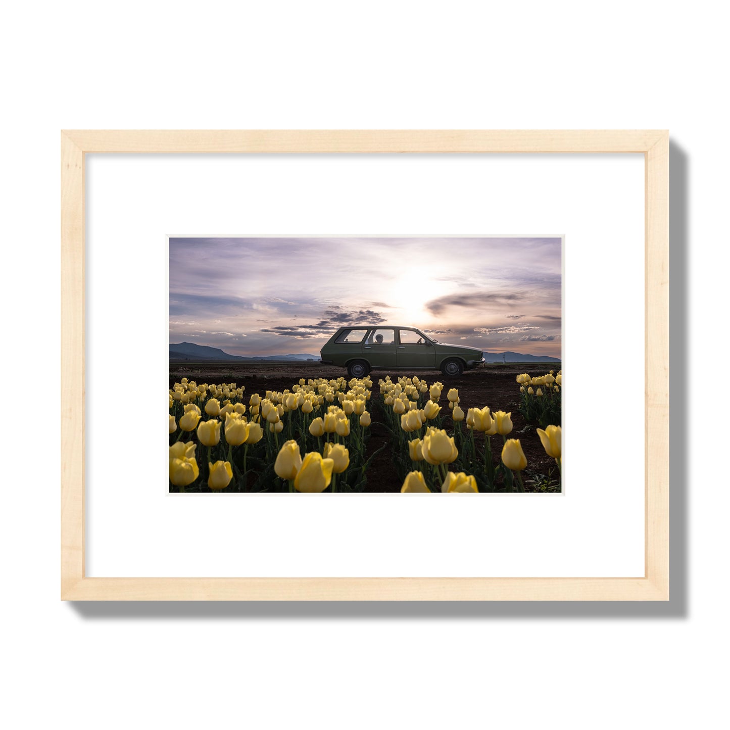 Fine art photograph of a car in a field of yellow tulips with a sunset sky, archival pigment print, small size, natural wood frame.