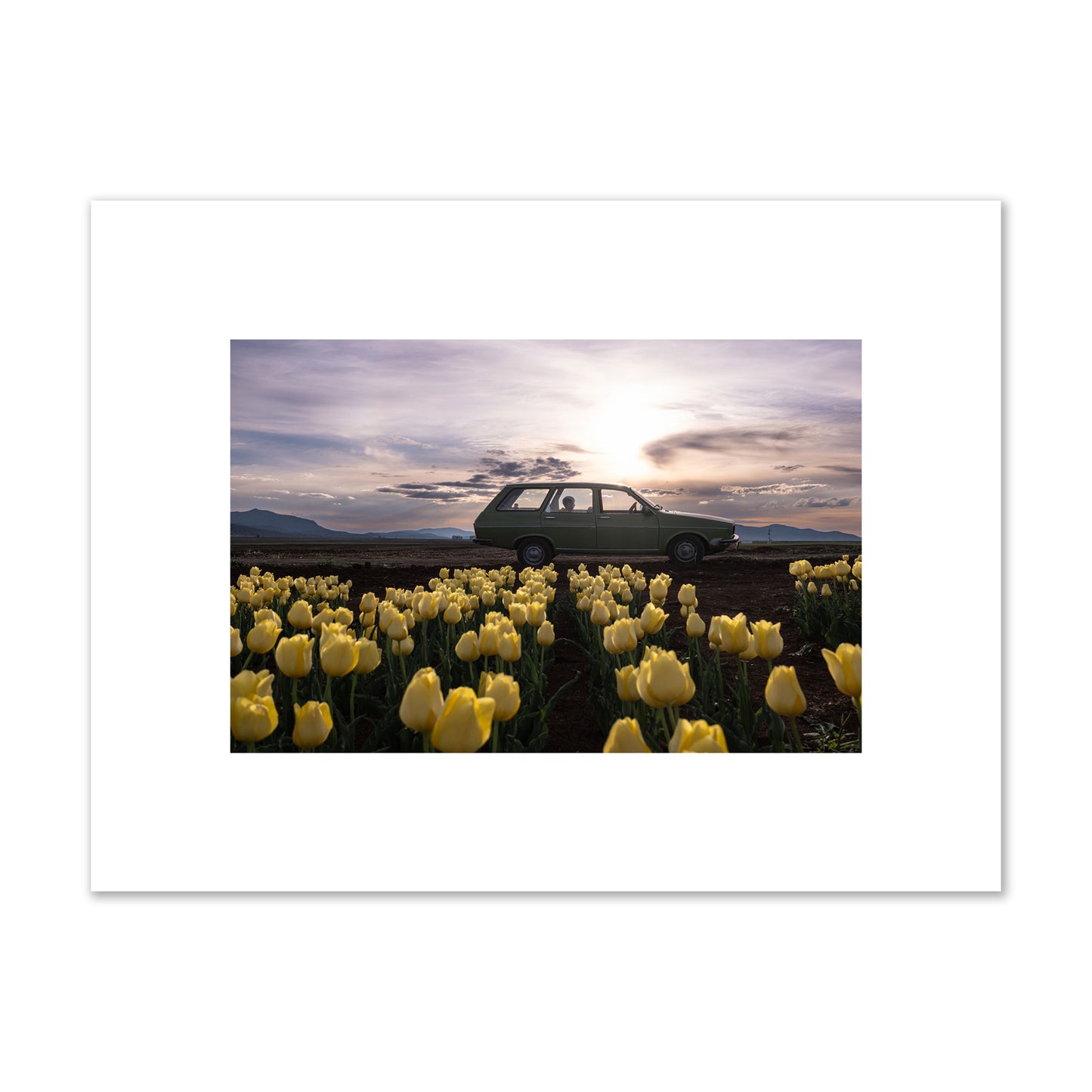 Fine art photograph of a car in a field of yellow tulips with a sunset sky, archival pigment print, small size, unframed.