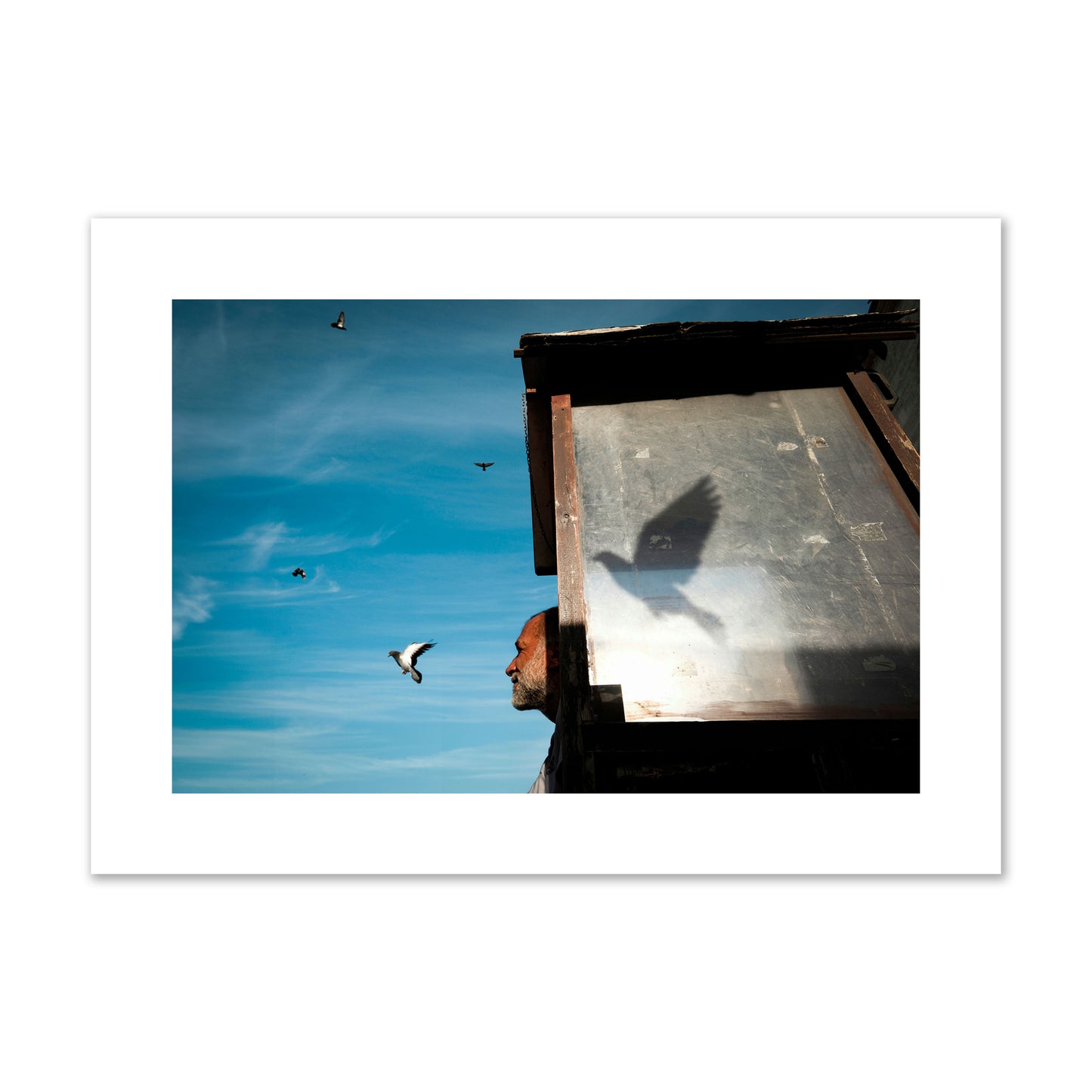 Fine art street photograph of a man watching a bird fly away in the background, with the bird’s shadow cast across a birdcage in the foreground. Archival pigment print, large size, unframed.