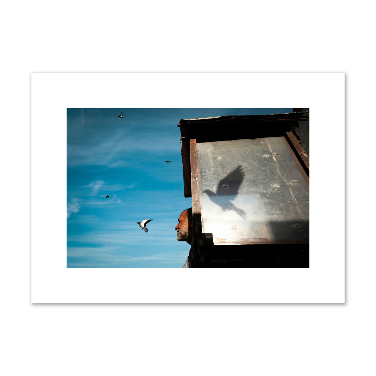 Fine art street photograph of a man watching a bird fly away in the background, with the bird’s shadow cast across a birdcage in the foreground. Archival pigment print, medium size, unframed.