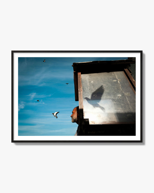 Fine art street photograph of a man watching a bird fly away in the background, with the bird’s shadow cast across a birdcage in the foreground. Archival pigment print, black frame.