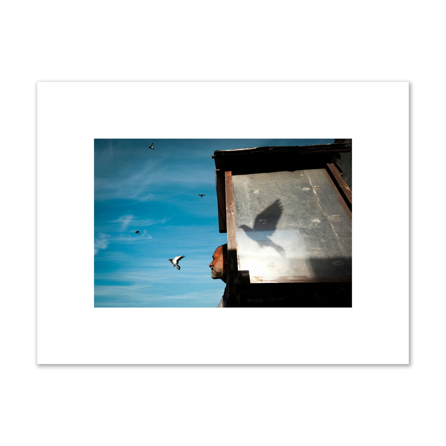 Fine art street photograph of a man watching a bird fly away in the background, with the bird’s shadow cast across a birdcage in the foreground. Archival pigment print, small size, unframed.